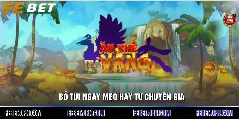 Bỏ túi ngay mẹo hay từ chuyên gia