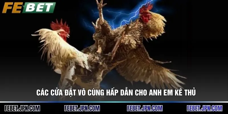 Các cửa đặt vô cùng hấp dẫn cho anh em kê thủ