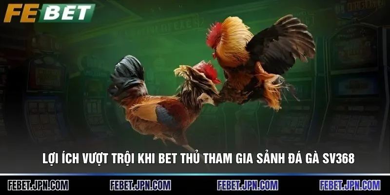Lợi ích vượt trội khi bet thủ tham gia sảnh đá gà SV368