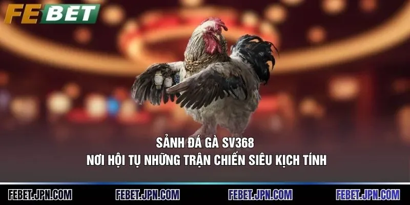 Sảnh Đá Gà Sv368: Nơi Hội Tụ Những Trận Chiến Siêu Kịch Tính
