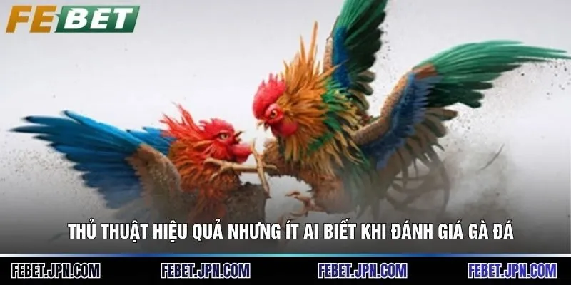 Thủ thuật hiệu quả nhưng ít ai biết khi đánh giá gà đá